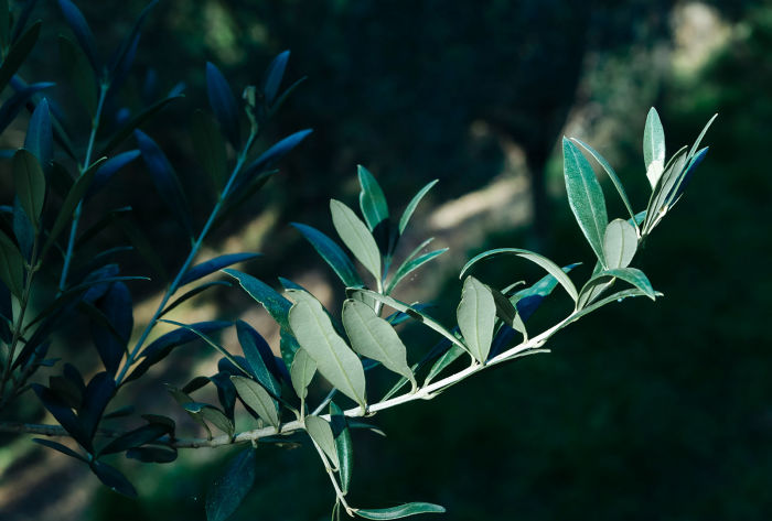 Rifugio Friulano Foto Sabine Biedermann